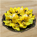 https://bonovo.isisflor.com/fileuploads/Produtos/Composições Florais/thumb__taca_orquideas_02_01.jpg
